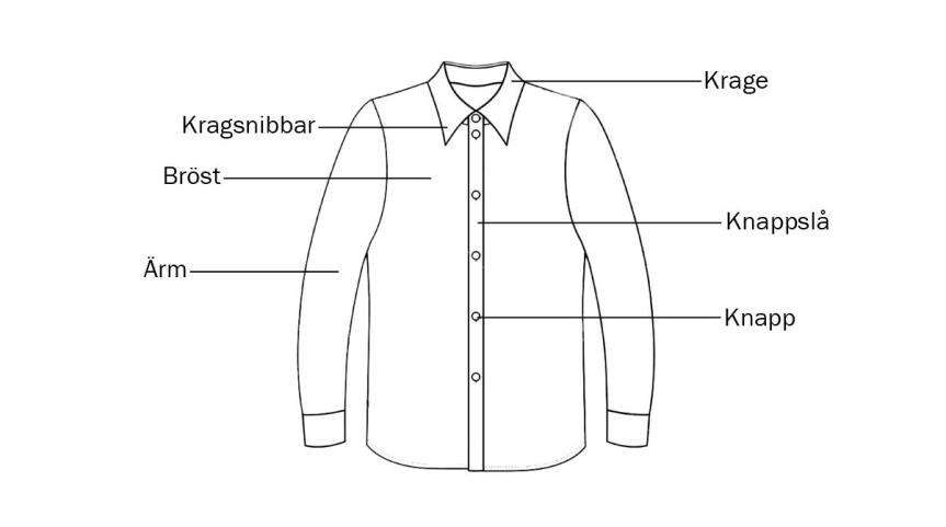Skjorta informatik framsida